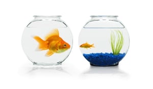 Know your different loan types