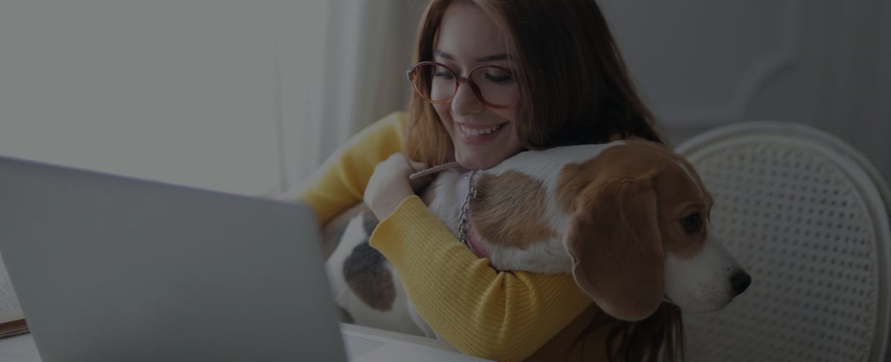 expert finance & borrowing guide background image